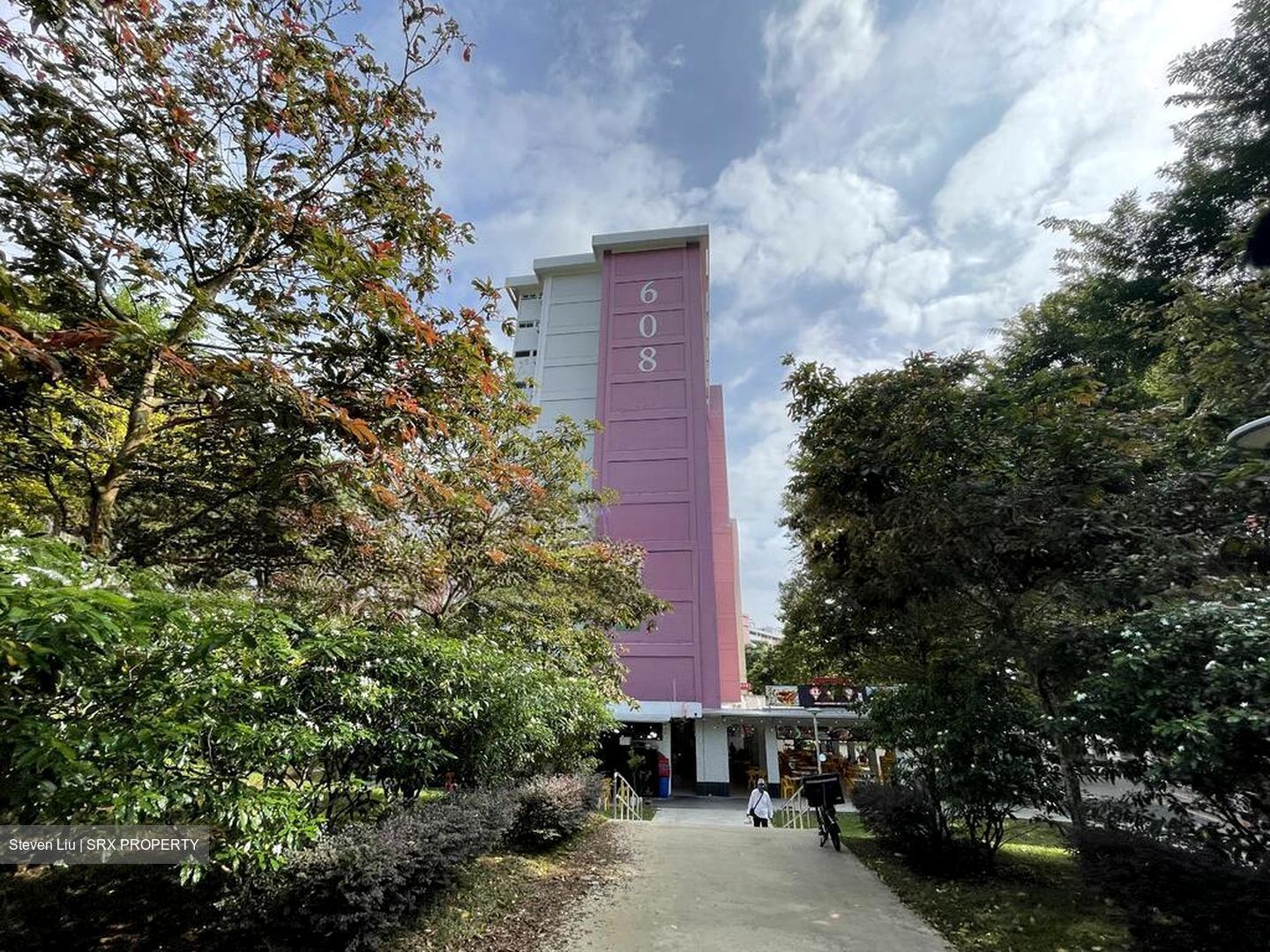 Yio Chu Kang Green (D20), Shop House #567587311